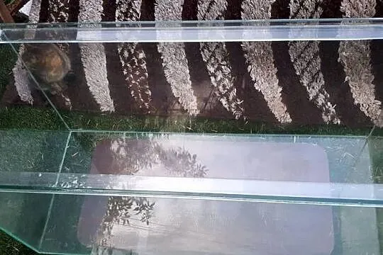 Akwarium 80l, Śląskie, Częstochowa