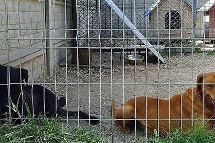 Moris potrzebuje ciepła i opieki... To fantastyczn
