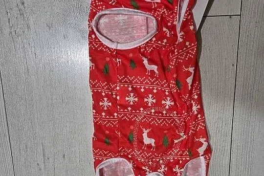 Ubranko świąteczne dla psa, Opolskie, Wołczyn