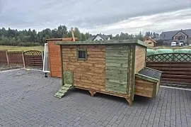 Kuurnik dla kur