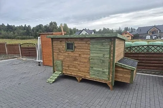 Kuurnik dla kur