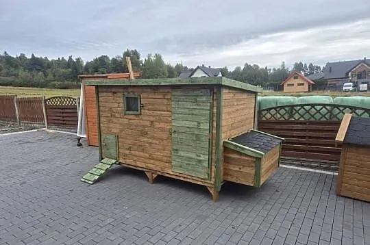 Kuurnik dla kur, Małopolskie, Jordanów