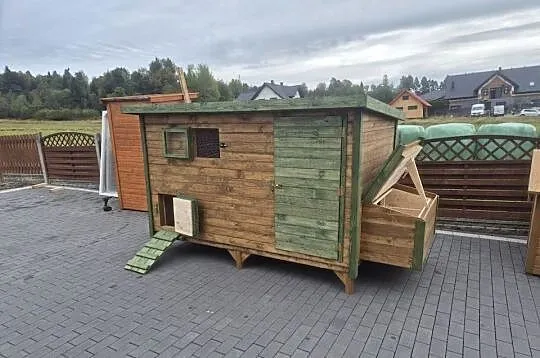 Kuurnik dla kur, Małopolskie, Jordanów