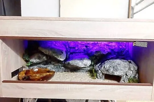 Okazja terrarium dla agamy gekona żółwia węża kameleona legwana boa pająka