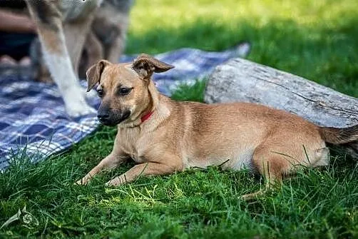 Zosia ma wszystko oprócz... domu,  śląskie Racibór