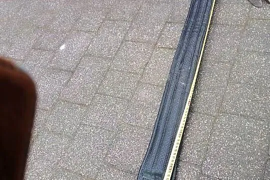 Siodło do jazdy konnej, wędzidełko, Mazowieckie, Wołomin