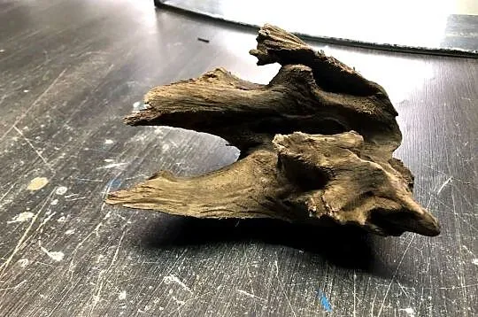 Korzeń do akwarium 25 cm, Łódzkie, Justynów
