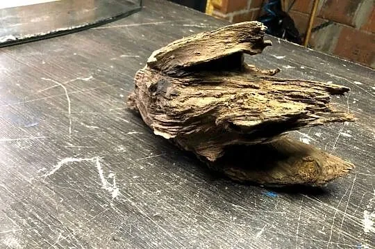 Korzeń do akwarium 25 cm, Łódzkie, Justynów
