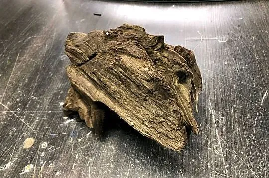 Korzeń do akwarium 25 cm, Łódzkie, Justynów