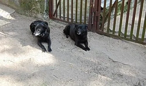 Aza i Balbina to spokojne, wrażliwe i bardzo delik