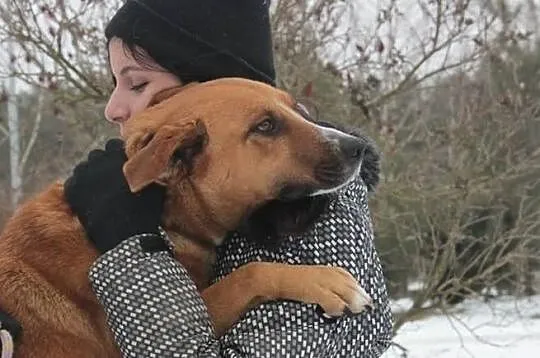 Herta szuka domu.