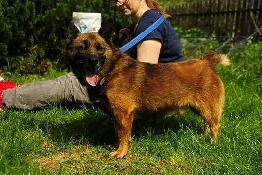 Augustek wierzy, że jeszcze na Twojej kanapie poleży..., Mazowieckie, Warszawa