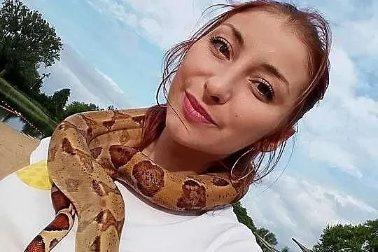 Wąż Boa Constrictor Imperator, Łódzkie, Łódź