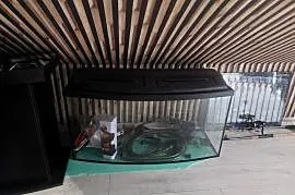 Akwarium 200l