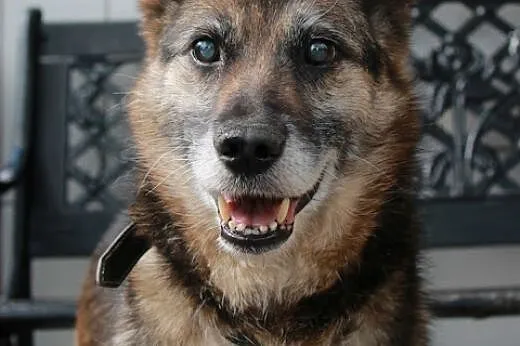 Asta.Moje serce płonie z miłości...,  kujawsko-pom
