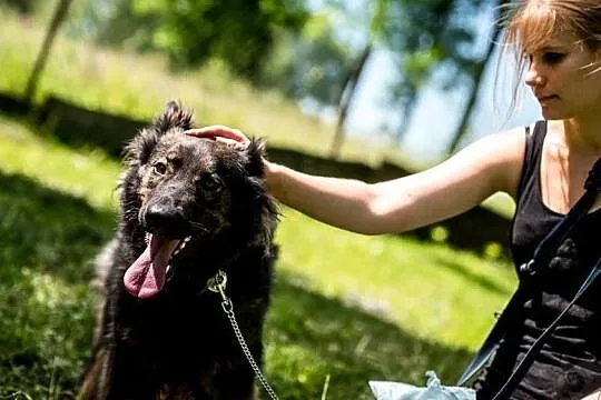 MIŁKA: śliczna i odważna, wesoła psia panna, Kraków