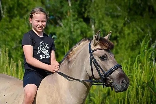 Konik polski cudowny charakter dla dzieci, Dolnośląskie, Sobin