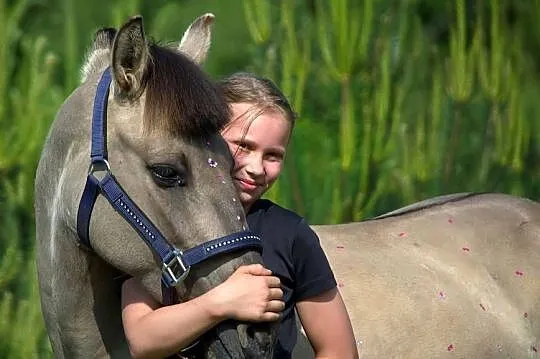 Konik polski cudowny charakter dla dzieci, Dolnośląskie, Sobin