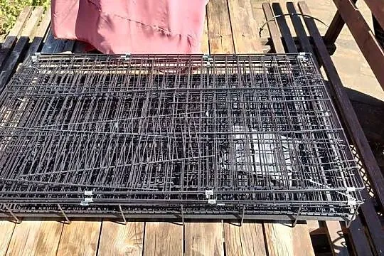 Metalowa klatka dla psa lub kota, Wielkopolskie, Książ Wielkopolski