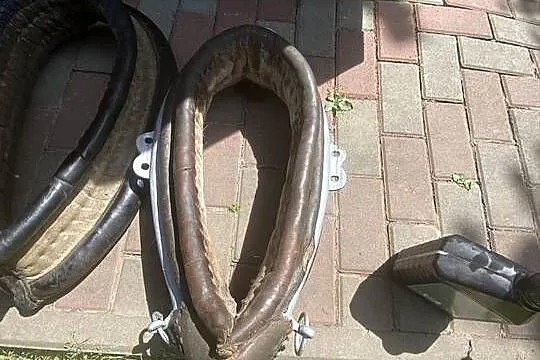 Witam sprzedam homonty dla konia, Podkarpackie, Urzejowice