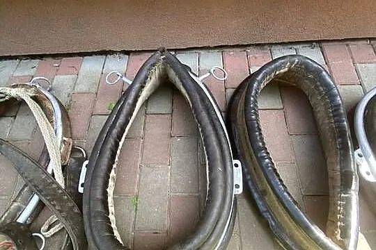 Witam sprzedam homonty dla konia, Podkarpackie, Urzejowice