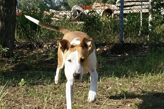 Zoja szuka domu