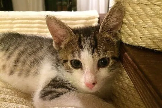 Edgar