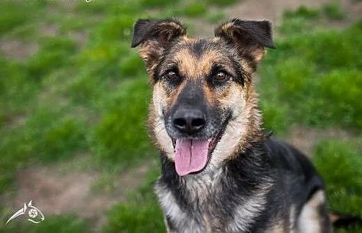 LEO - amator aktywnego spędzania wolnego czasu szu