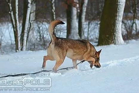 Cześć, mam na imię Ksenia...,  dolnośląskie Wrocła