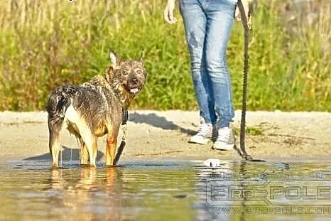 Cześć, mam na imię Ksenia...,  dolnośląskie Wrocła