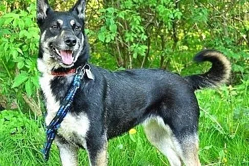 JUKA – radość, słodycz i miłość do człow