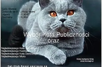 Światowy Dzień Kota TCZEW 22.02.2015