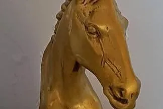 Figura mosiężna konia, Małopolskie, Tarnów