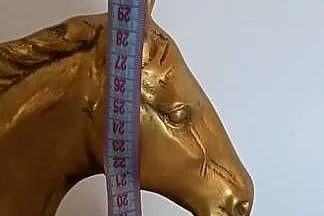 Figura mosiężna konia, Małopolskie, Tarnów