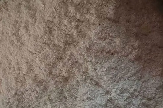 Trociny brzozowe drobne świeże, Wielkopolskie, Kąkolewo