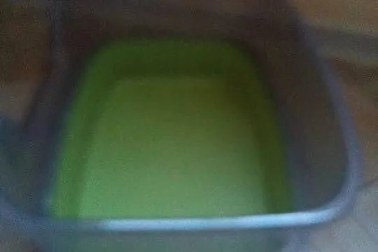 Koweta dla kota