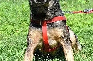 Warto mieć przy sobie Finkę! :),  warmińsko-mazurs