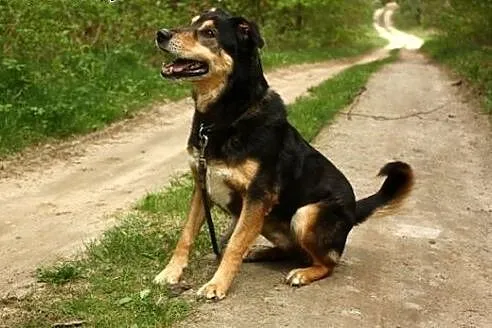 Mądry Assan :),  warmińsko-mazurskie Olsztyn
