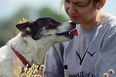 Młodziutka, wesoła Kimi, radosna suczka szuka domu
