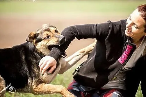 Młoda Sara rozrabiara, chce Ci wskoczyć na kolana;-),  mazowieckie Warszawa