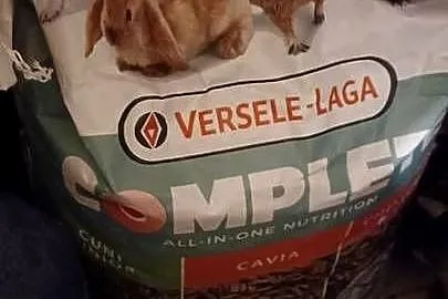 100CM KLATKA 6 KILO VERSELE LAGA DOMEK POLAR SAMCZYKI RASY teddy 5,5 MIES, Wielkopolskie, Poznań