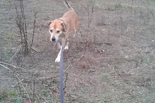 Marcysia – za co mnie spotkał taki los?...