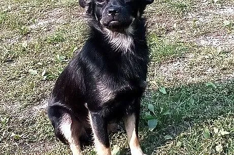 Mały Bambo - jeszcze dzieciak :), Warmińsko-mazurskie, Olsztyn