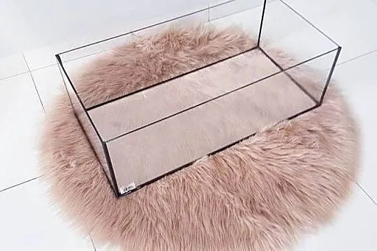 Akwarium, terrarium, aquaterrarium dla żółwia, kraba,małego chemika, Śląskie, Dąbrowa Górnicza