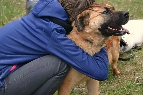 Bardzo kochana Sunia o imieniu Pegi poleca się do 