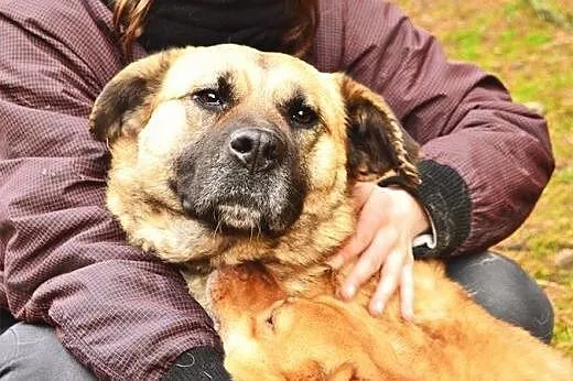 Bardzo kochana Sunia o imieniu Pegi poleca się do 