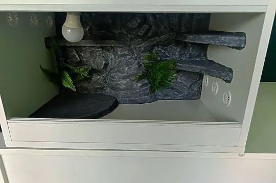 Terrarium drewniane 60x40x40