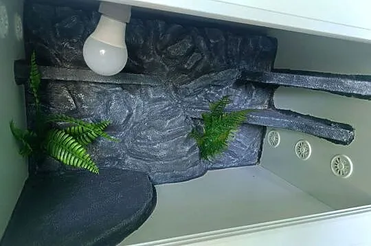 Terrarium drewniane 60x40x40, Pomorskie, Reda