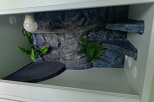 Terrarium drewniane 60x40x40, Pomorskie, Reda
