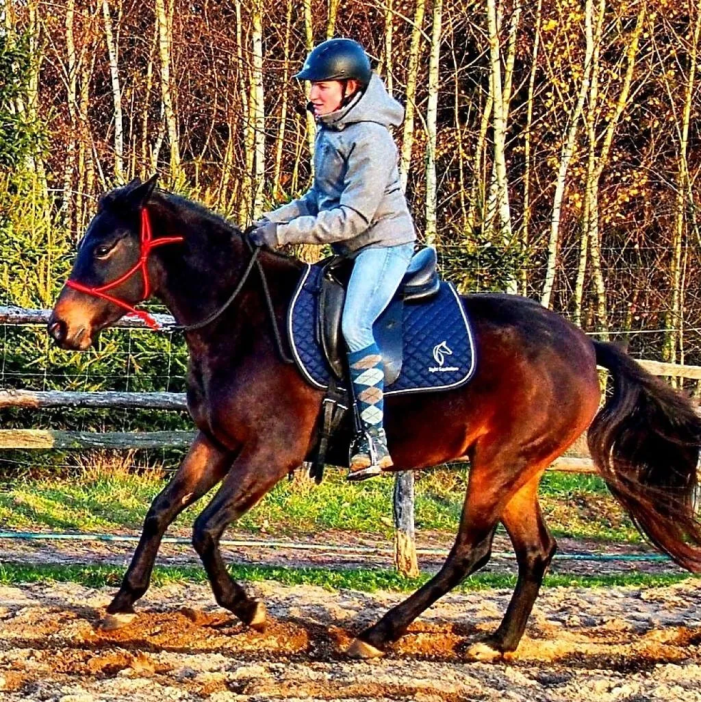6 letnia klacz IRIS (rezerwacja), , Radgoszcz
